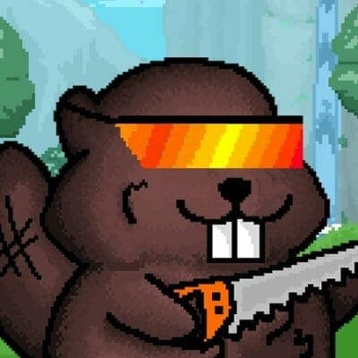 Building Beaverz First ever “Team-Fi” NFT project image