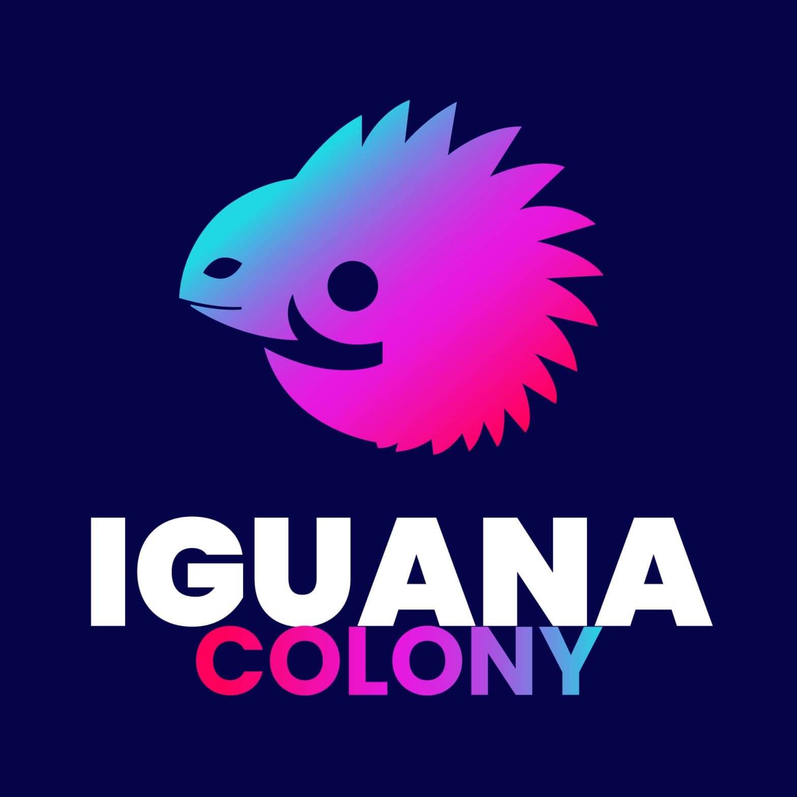 Iguana Colony image