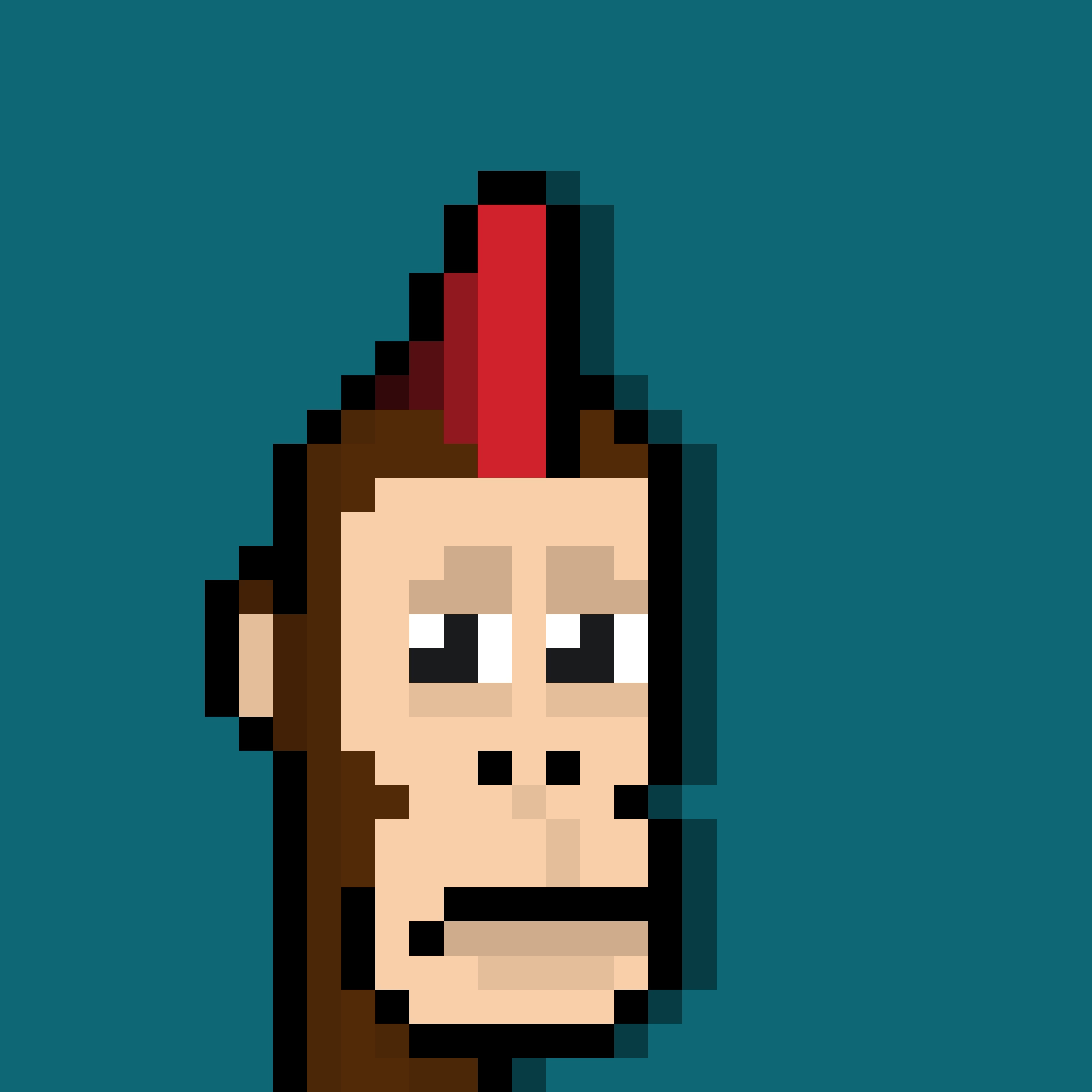 Pixel Ape Punks Club image