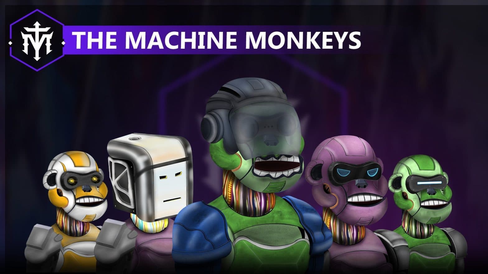 The Machine Monkeys image